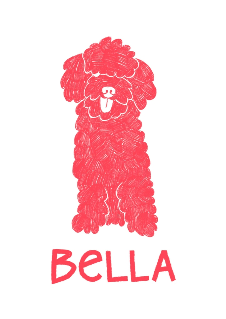 Pet portrait by illustrator Clara Gilod